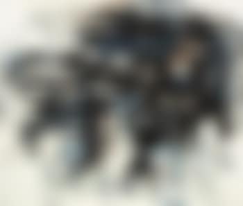 Nr. 16 (preview)