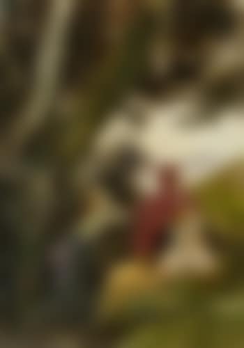 Dryaden (preview)