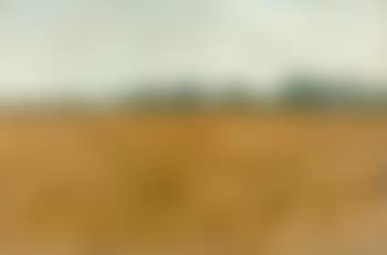 Afrikanische Steppe (preview)