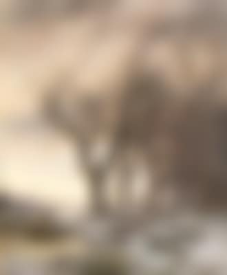 Winter Landscape (preview)