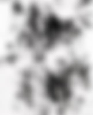T 1979 - H 15 (preview)