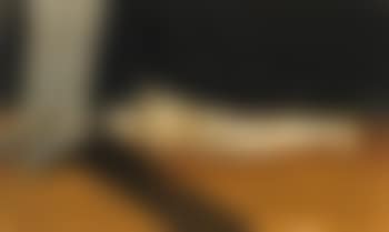 The dreamer (preview)