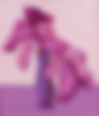 Vaso di Fiori (preview)