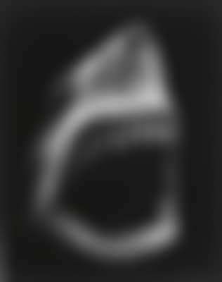 Untitled (Shark 5) (preview)