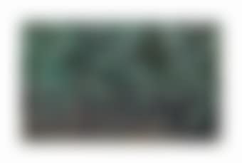 Platanal (preview)