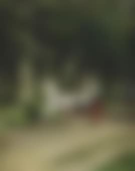 A morning ride in the forest (preview)