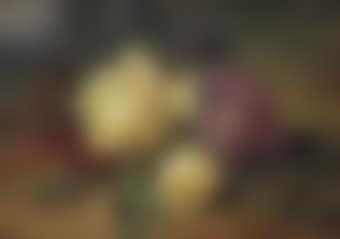 Yellow roses and rhododendrons on a forest floor (preview)