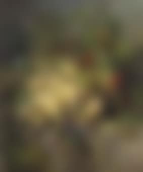 Yellow roses, morning glory and East-Indian cress on a forest floor (preview)