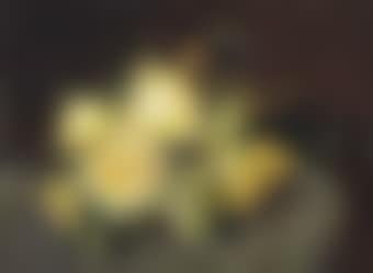 Yellow roses on a stone slate (preview)