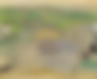 June 11-49 (amalebra) (preview)