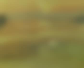 Sunset Moel-Y-Don (preview)