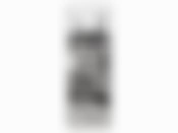 Panoramic Nude (preview)