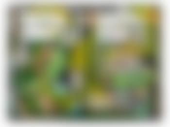 Put it in Your Mouth Baby (preview)
