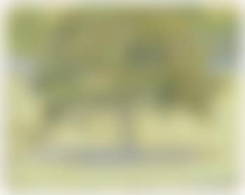 Villa Borghese (preview)