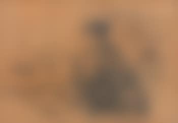 Femme à sa lecture (preview)