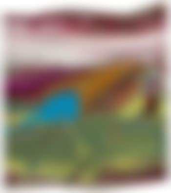 Abdallah (917-48) (preview)