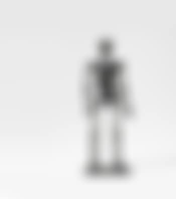 Skelett (preview)