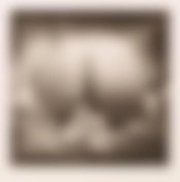 Origines (preview)