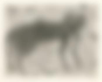 Katze mit Vogel (preview)