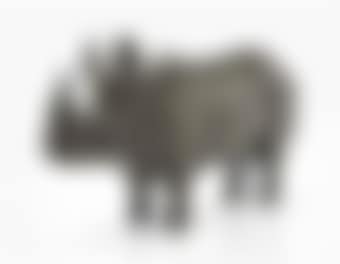 Petit Rhinocretaire II (preview)