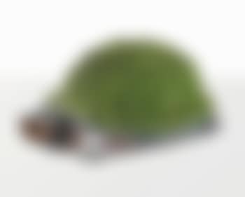 Tortue topiaire I (preview)