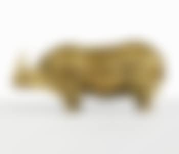Rhinocéros (preview)