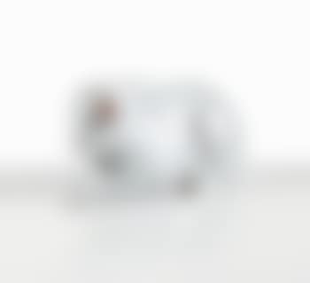 Le lapin (preview)