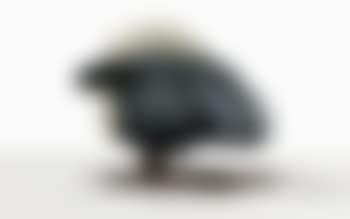 Tête de mouton (preview)