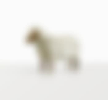 Maquette mouton (preview)