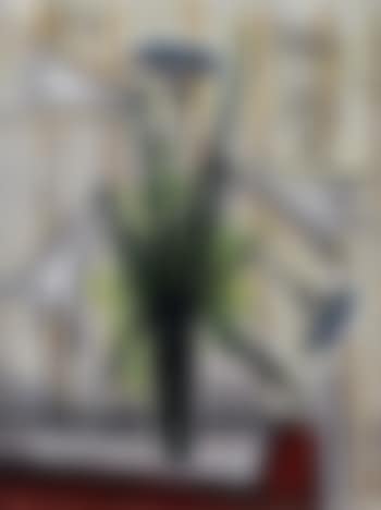 Vase de lys et aux ombelles (preview)
