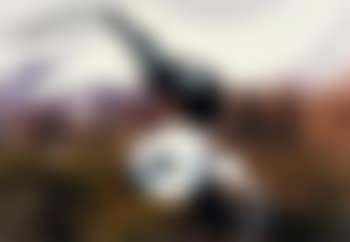 Untitled (8. 2.92) (preview)