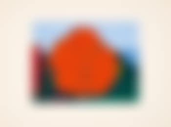 Rote Blume II (preview)