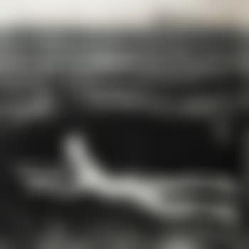 Nude, Seaweed (preview)