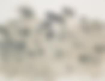 With winds (preview)