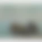 Hauling Water, Bay of Quinte (preview)
