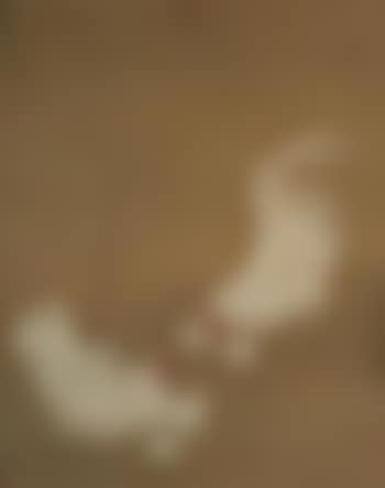 Chickens and Chicks after Ming Emperor Xuanzong (1426-1435) (preview)