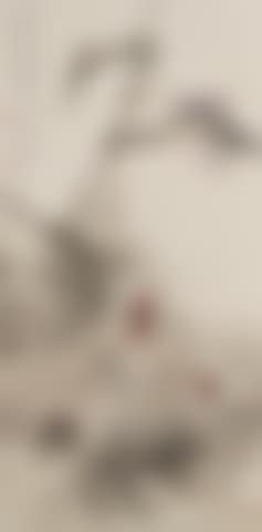 Rooster and Hen (preview)