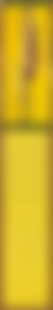 The composer's yellow tie (preview)