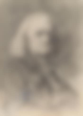 Porträt Franz Liszt (preview)