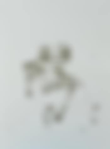 Tree Frog (preview)