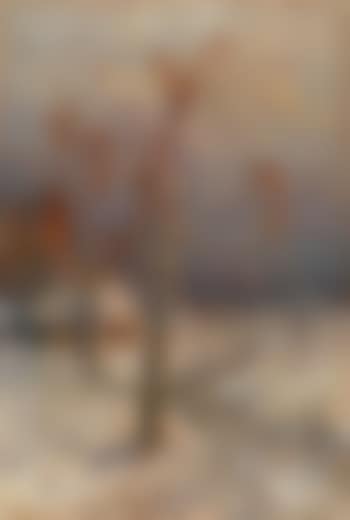Wintry Village (preview)