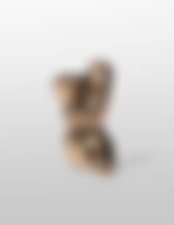 Torso-Profil (preview)