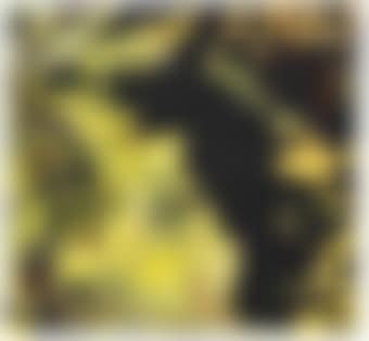 I Was on the Edge of Saturnine Exposure (preview)