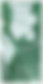 Green Monkey (preview)