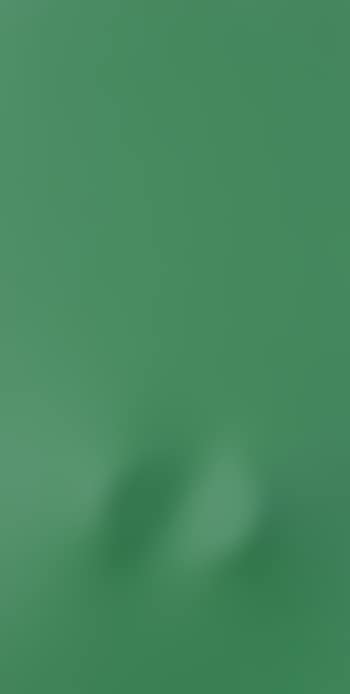 Due ovali in verde (preview)