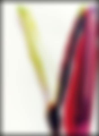 Phenomena why Y (preview)
