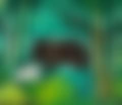 Hippopotamus with young calf in the jungle (preview)
