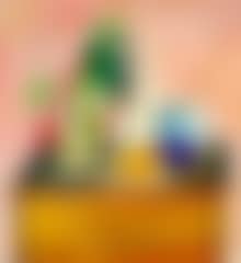 Still life (preview)
