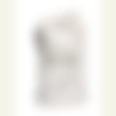 Woman's torso (preview)