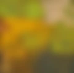 Composition (preview)